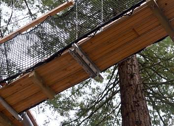 Tree Walk Bridge Flex Joint Underside