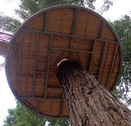 Tree Walk Platform Underside