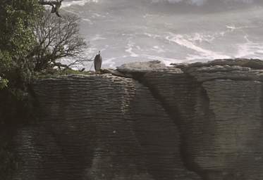 WCst Pancake Rks Bird Xxx Heron