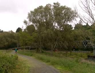 Waihi RT Waikino Bridge