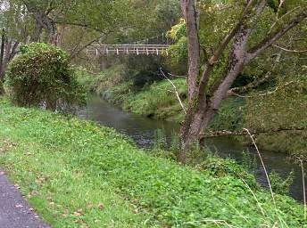 Waihi RT Bridge