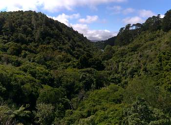 Wellington Zealandia