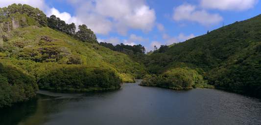 Wellington Zealandia