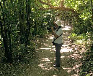 Wellington Zealandia Dona