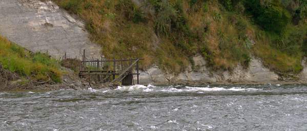 Whanganui R Fish Trap