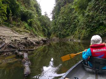 Whanganui R Side Canyon