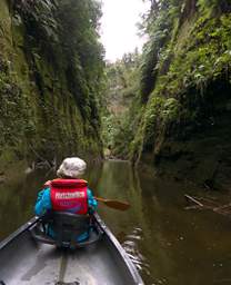 Whanganui R Side Canyon