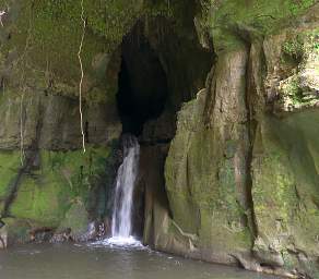 Whanganui R Cave