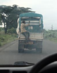 Kitulo Hitch Hiker