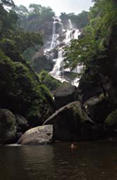 Udzungwa Mts Lower Sanje Waterfall Gary