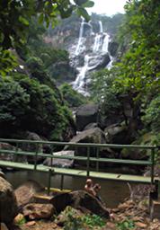 Udzungwa Mts Lower Sanje Waterfall Gary