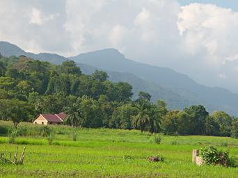 Udzungwa Mts