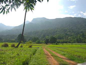 Udzungwa Mts
