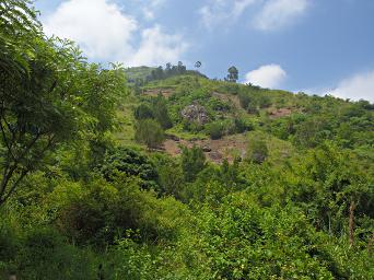 Morogoro