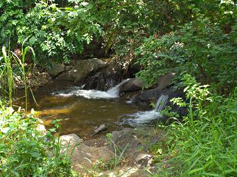 Morogoro Creek