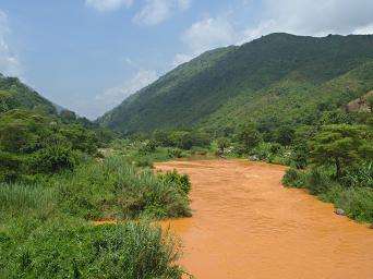 Udzungwa Mts Ruaha R