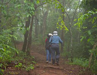 Udzungwa Mts Sanje Falls Hike Dona Elinaja
