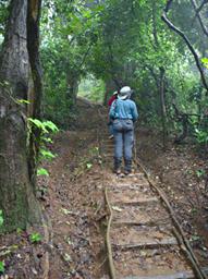 Udzungwa Mts Sanje Falls Hike Dona Elinaja