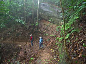 Udzungwa Mts Sanje Falls Hike Dona Elinaja