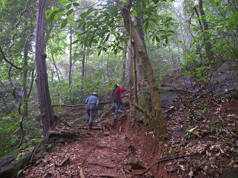 Udzungwa Mts Sanje Falls Hike Dona Elinaja