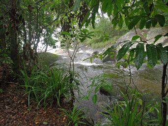 Udzungwa Mts Sanje Falls