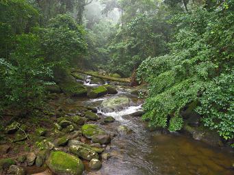 Udzungwa Mts Sanje Falls Creek