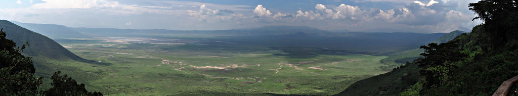 Walk Safari Ngorongoro