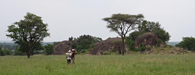 Walk Safari Kopje Dona Joshua