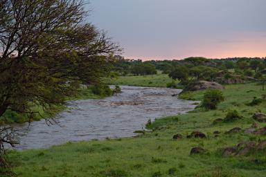 Walk Safari Flood Pololeti R