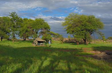 Walk Safari Camp2 Pololeti R