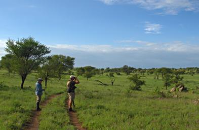 Walk Safari Evening Walk Dona Joshua