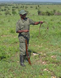 Walk Safari Saif Snare