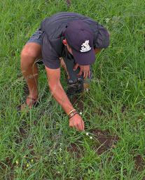 Walk Safari Joshua Grass Noose4Scorpion
