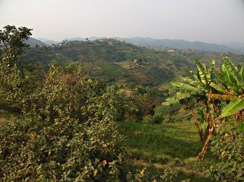 Bwindi NP