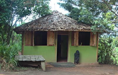 Bwindi NP Broadbill Forest Camp Reception