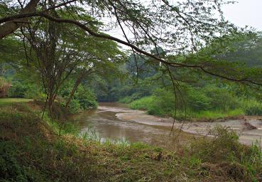 Qn Elizabeth NP River