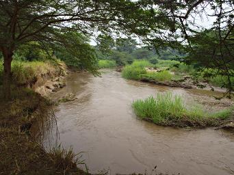 Qn Elizabeth NP River