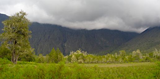 Arusha NP Mt Mreu Crater