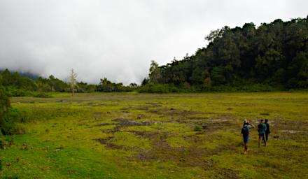 Arusha NP Mt Meru Crater Douglas Sid Dominik