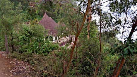 Mambo View Pt House