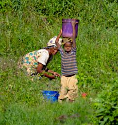 Mambo View Pt Kid Hauling Water