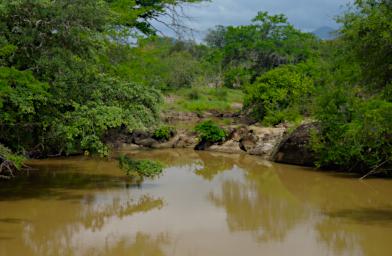 Mkomazi Lunch Creek