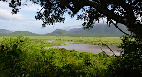 Mkomazi Lake