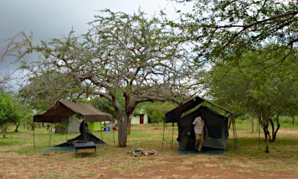 Mkomazi Camp