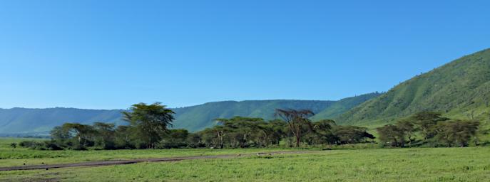 Ngorongoro 