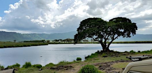 Ngorongoro Picnic Area 