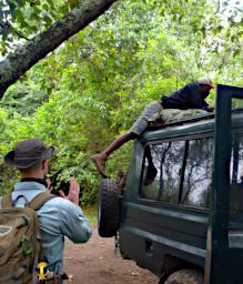 Ngorongoro Douglas Loading
