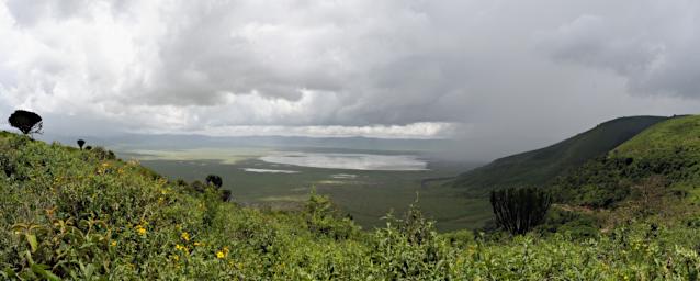 Ngorongoro