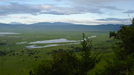 Ngorongoro