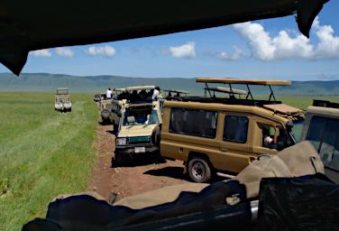 Ngorongoro Rhino Traffic Jam